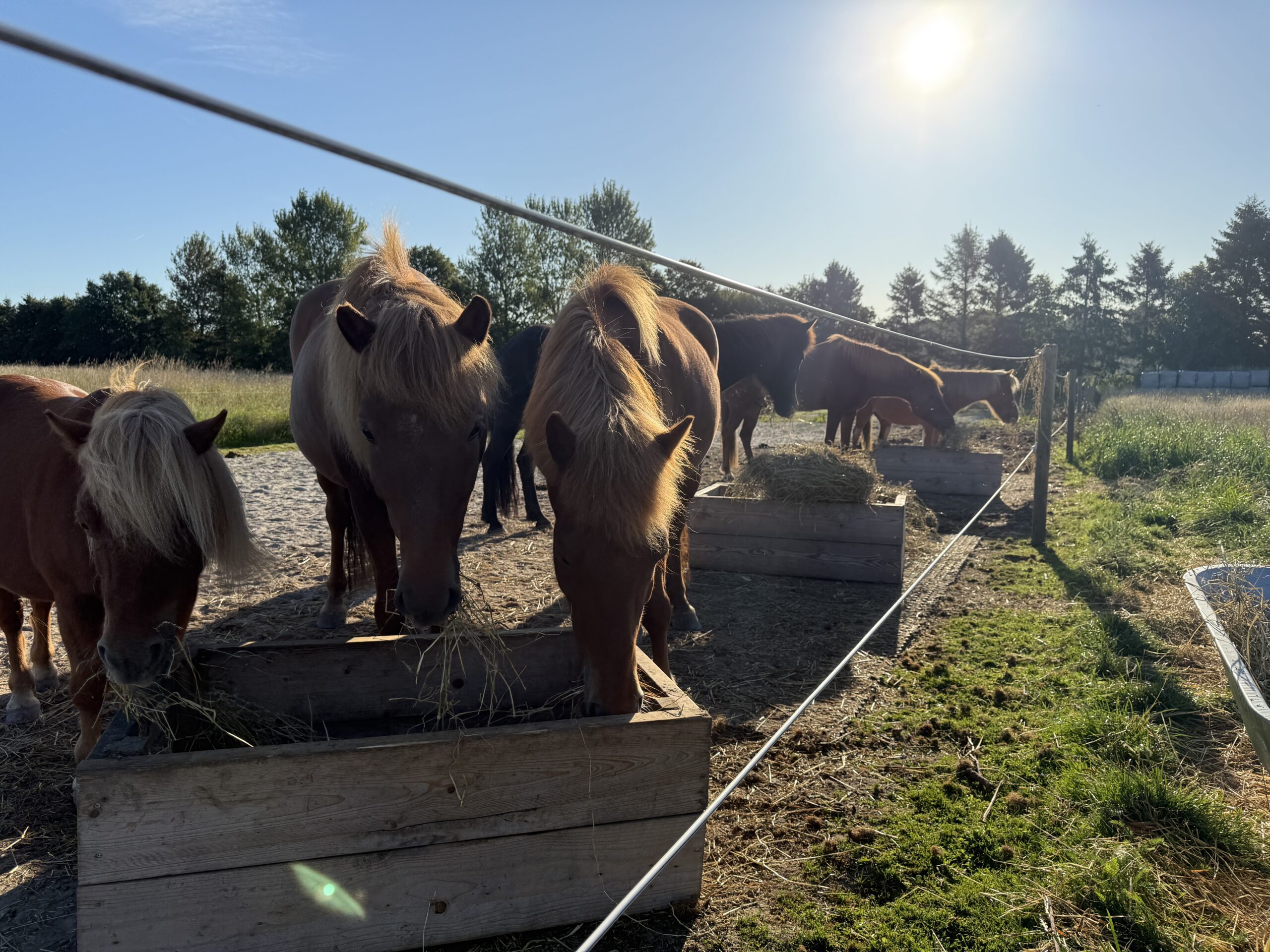 Haven ved Skjærgården